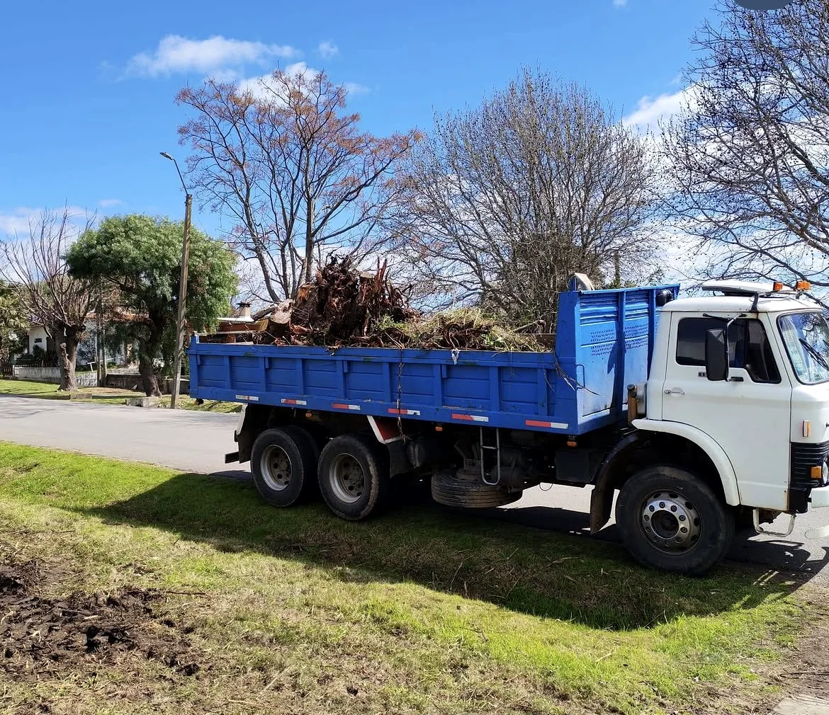 Camión transportando restos vegetales